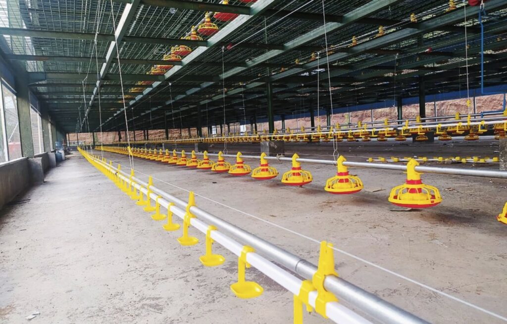 Poultry Farm and Pen House Construction