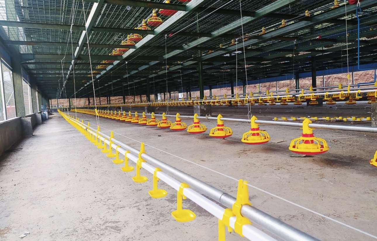 poultry-farm-construction